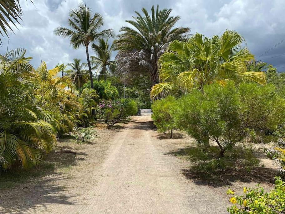 Villa Coco Des Sables Acces Direct Au Lagon La Saline Le Bains Exteriér fotografie